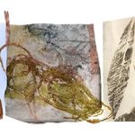printmaking image