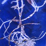 printmaking image