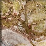 printmaking image