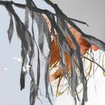 digital art image